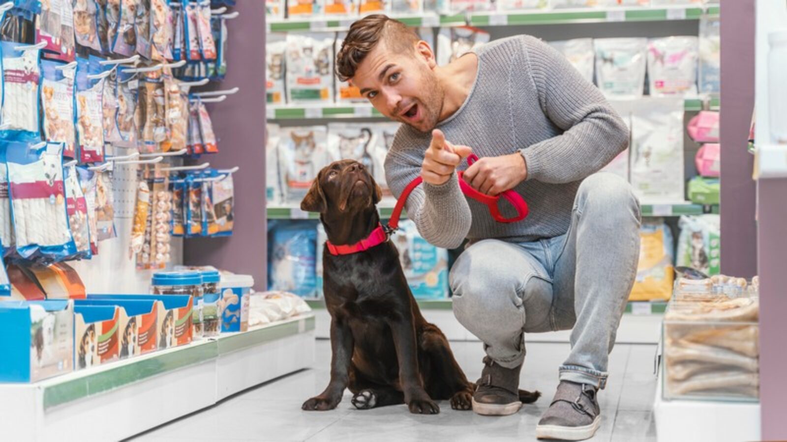 Marketing para pet shop: confira 9 dicas para colocar em prática!