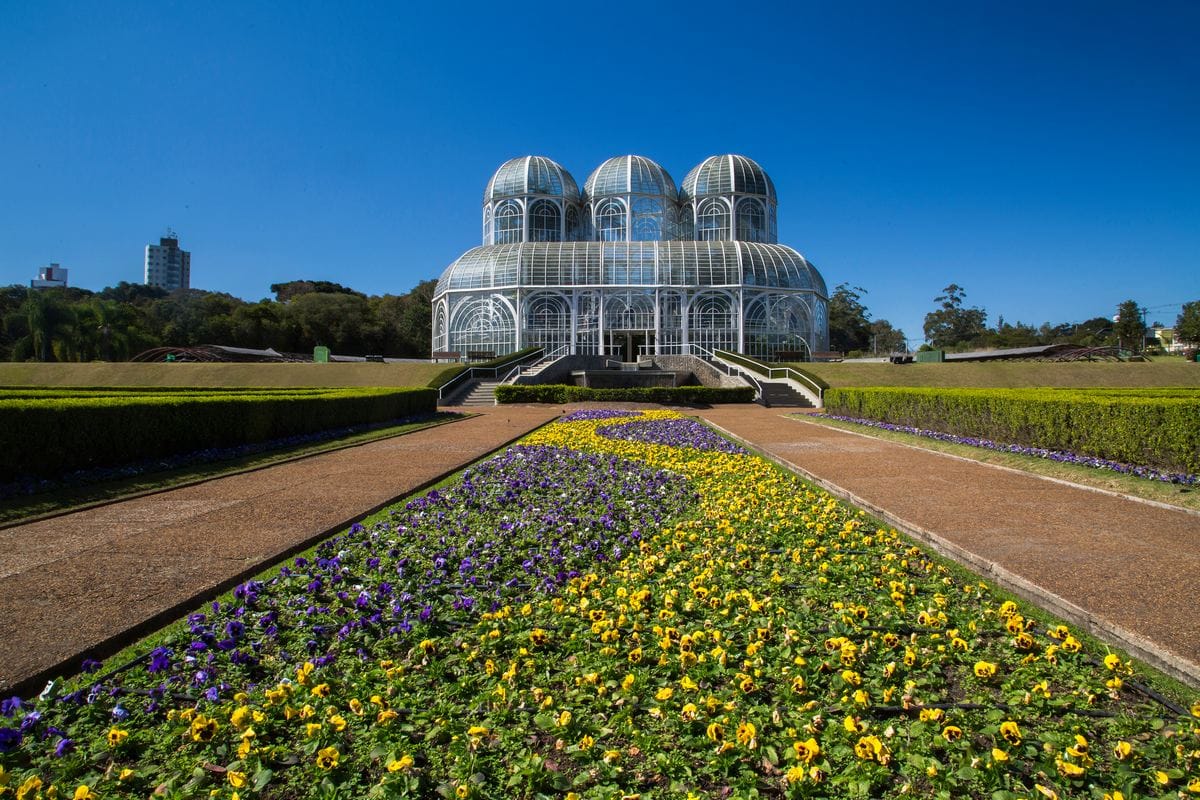 Marketing Local em Curitiba